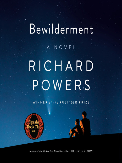 Cover image for Bewilderment